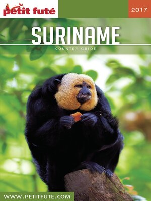 cover image of SURINAME 2017 Petit Futé